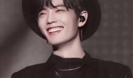 替身爆料肖战视频合集在线观看,揭秘明星幕后故事