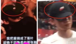 马思纯白敬亭圈内爆料,揭秘娱乐圈背后的真实故事